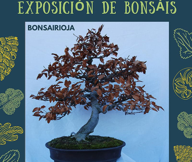 ‘Exposición de bonsáis’, en el Centro Fundación Caja Rioja Arnedo