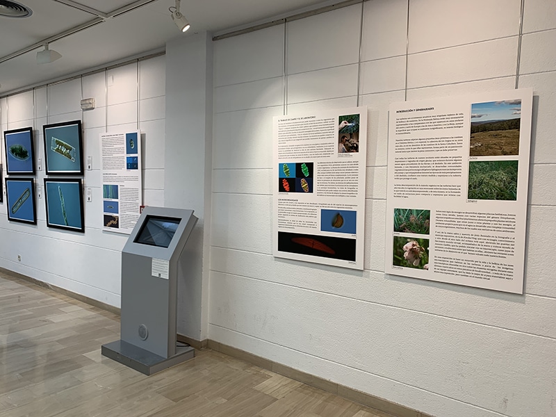 La exposición ‘Tesoros de las turberas’ del Instituto de Estudios Riojanos se exhibe en Calahorra