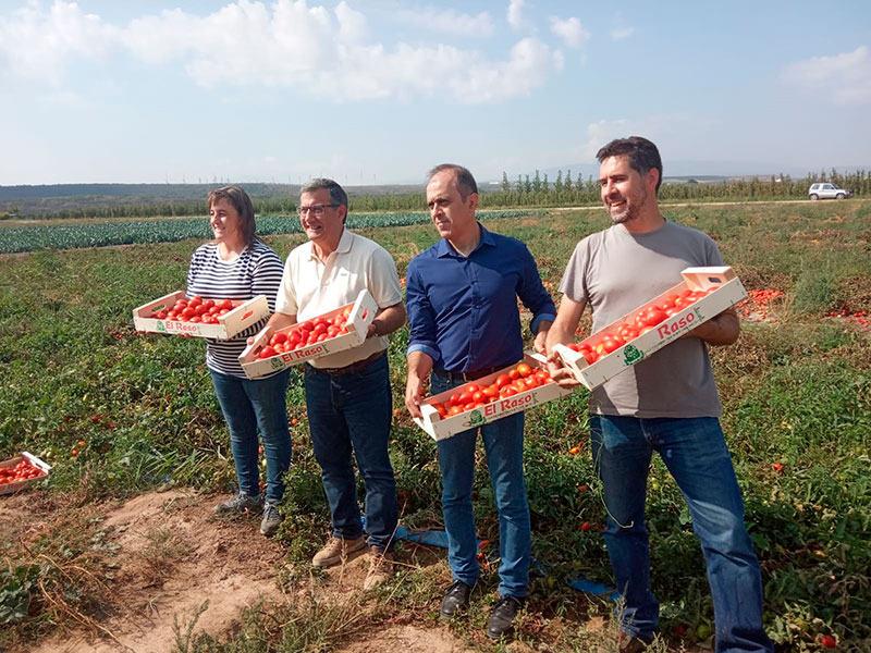 Ctic Cita, Cooperativa El Raso, Universidad de La Rioja y Fundación Caja Rioja presentan la primera cosecha del proyecto AGRITOM2.0 para impulsar el cultivo del tomate