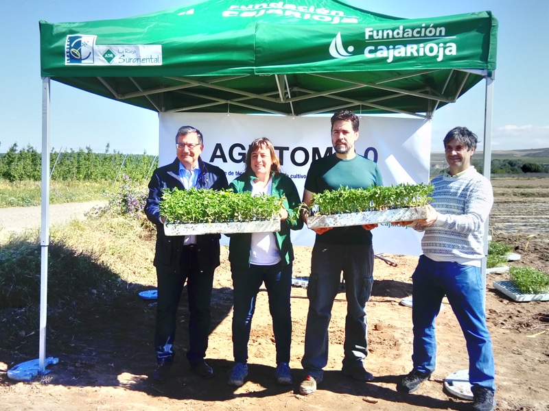 Iniciamos un proyecto para impulsar el cultivo del tomate en La Rioja