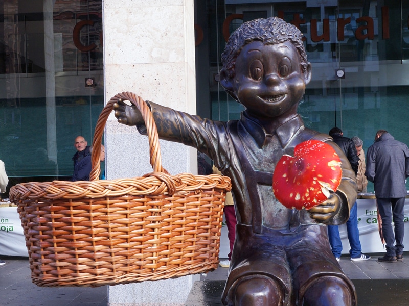 Arrancan las Jornadas Micológicas de Otoño en Gran Vía