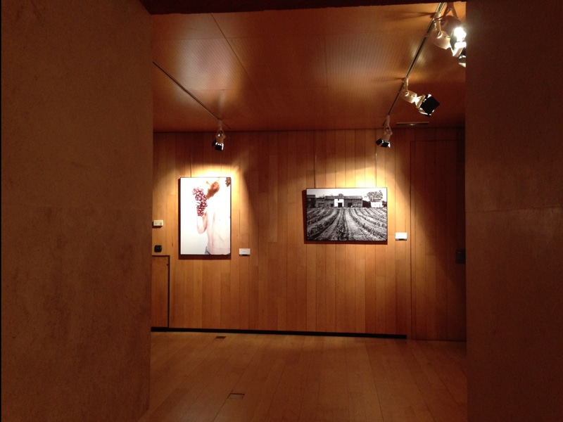 La exposición “El Rioja y los 5 sentidos”, en el Centro de La Merced