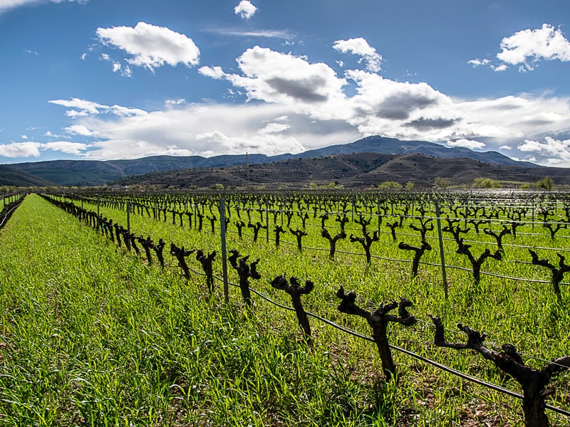 Exposición en Arnedo sobre la Ruta del Vino Rioja Oriental