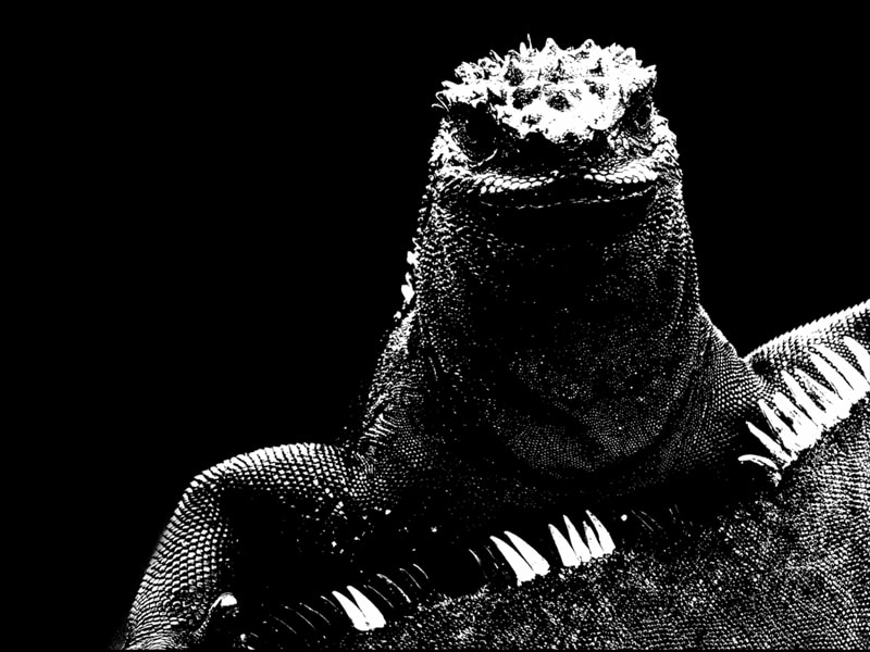 Exposición de fotografías sobre las Islas Galápagos en Gran Vía