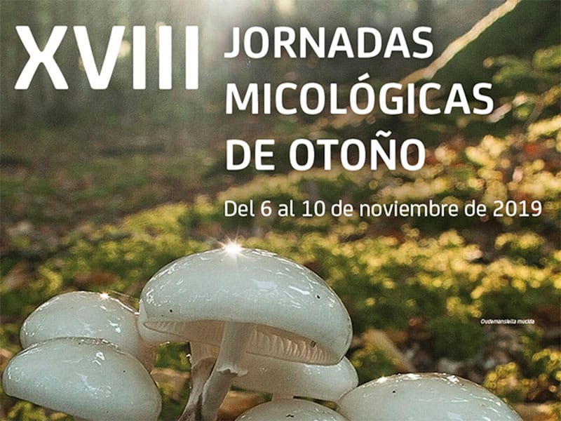 Jornadas Micológicas de Otoño organizadas por Bankia, Fundación Caja Rioja y Verpa