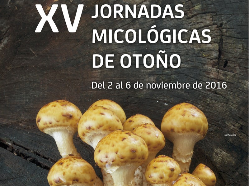 Las Jornadas Micológicas de Otoño, en el Centro de Gran Vía