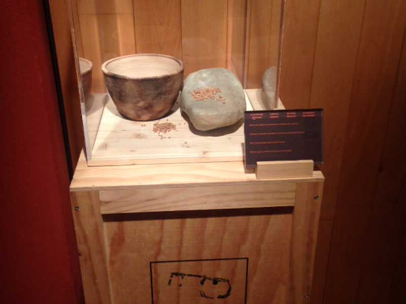 Exposición en La Merced sobre el yacimiento de Navaridas