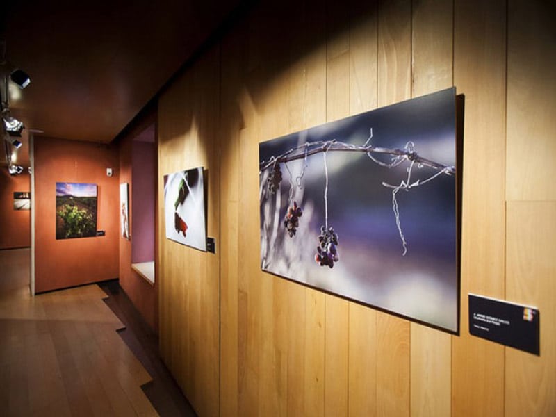 El Centro Fundación Caja Rioja-Bankia Arnedo muestra la exposición ‘El Rioja y los 5 Sentidos’