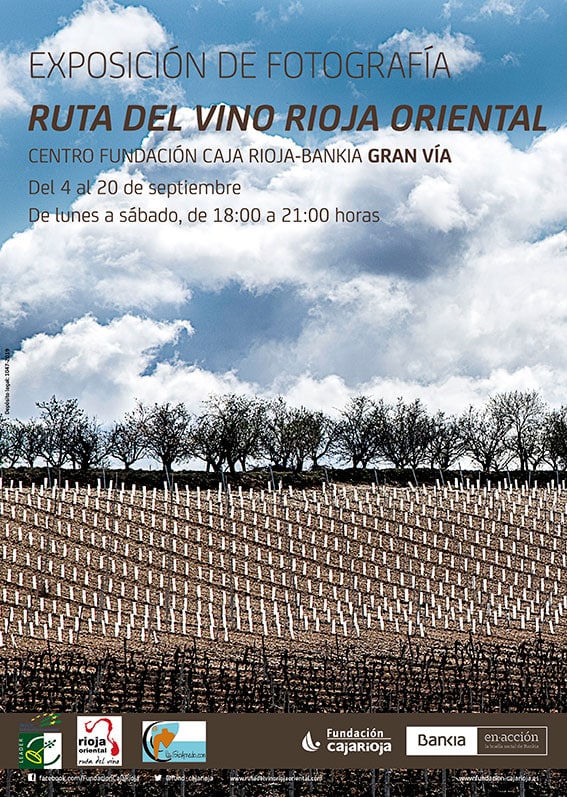 ruta-expo-web1