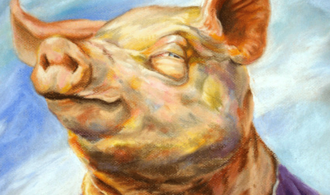 Exposición “Animal”