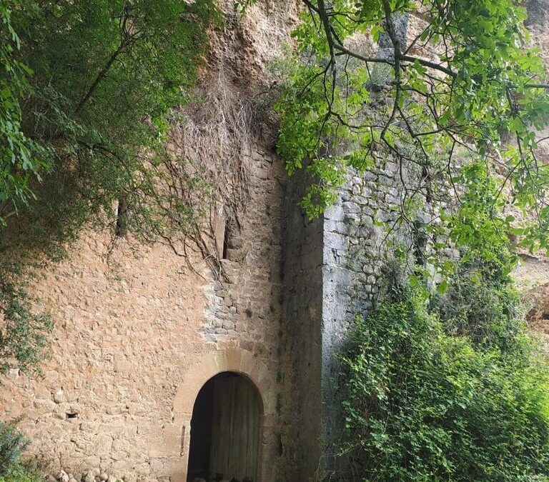 Viguera acoge mañana el ‘Programa de Voluntariado Cultural y Medioambiental’, impulsado por Fundación Caja Rioja, CaixaBank y La Rioja 360