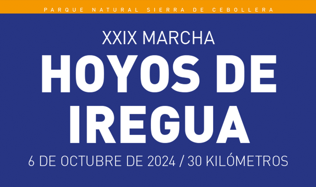 XXIX Marcha Hoyos de Iregua