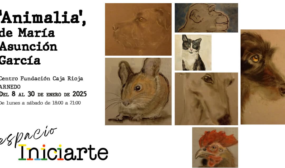 Espacio INICIARTE. Animalia