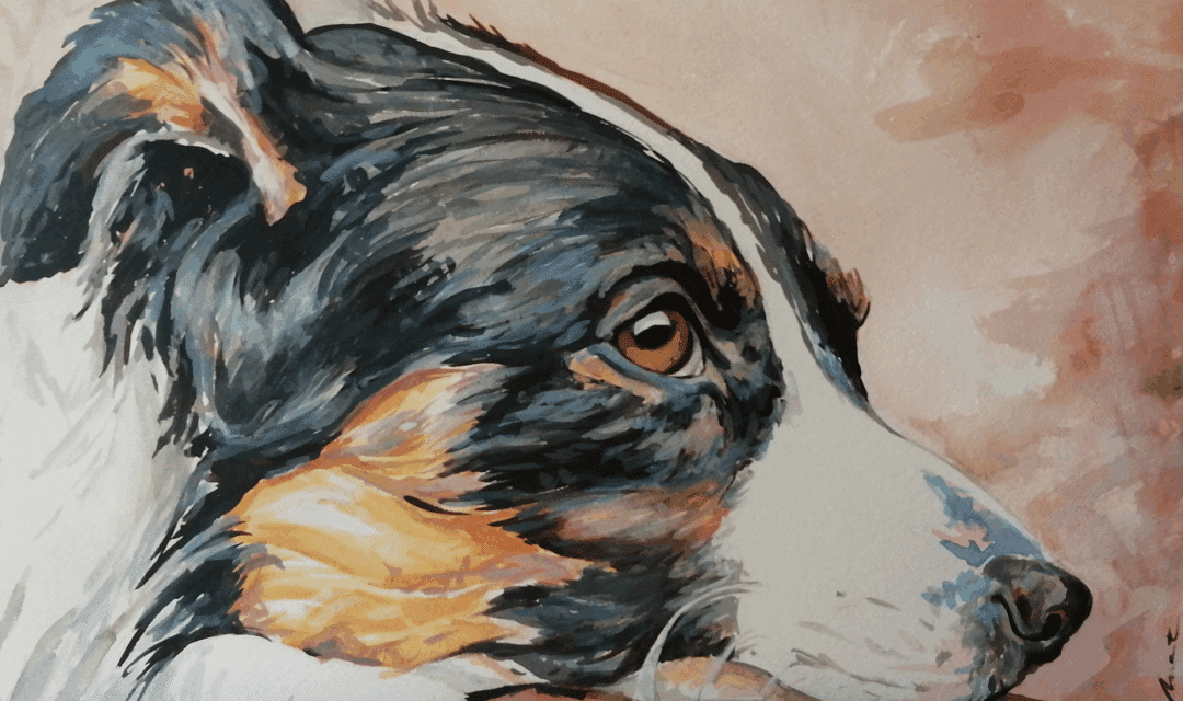 Exposición «Retratos de mascotas», de Maite Herrero Castiella