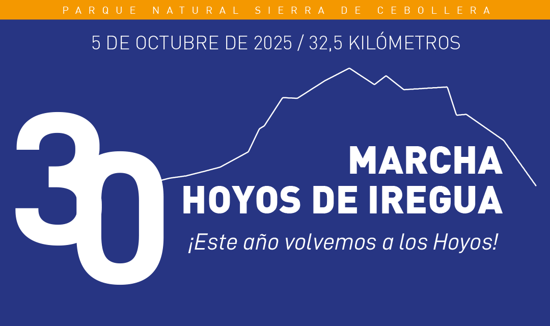 XXX Marcha Hoyos de Iregua