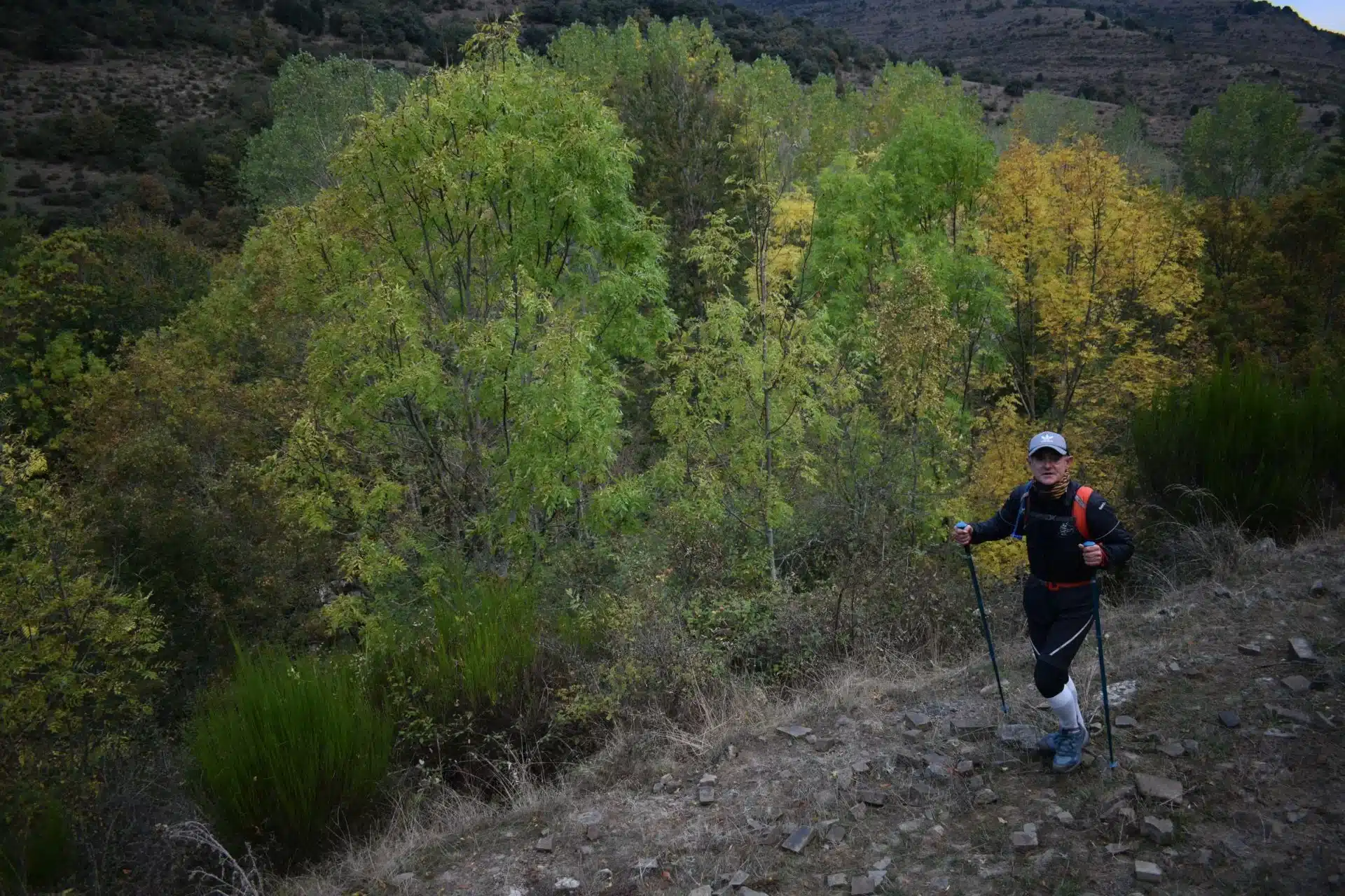 hoyos (47)