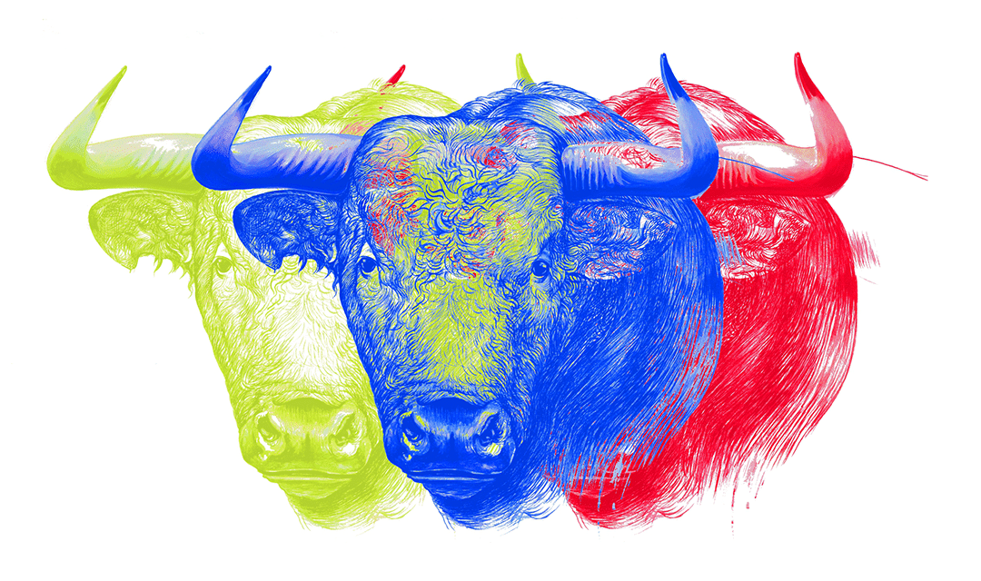 Exposición «El campo del toro», de Carmelo Caatrad
