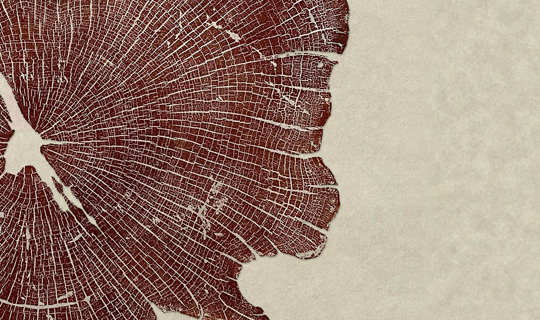 Exposición «BOSQUES DE LA RIOJA. Memoria viva del territorio», de Natali Wood