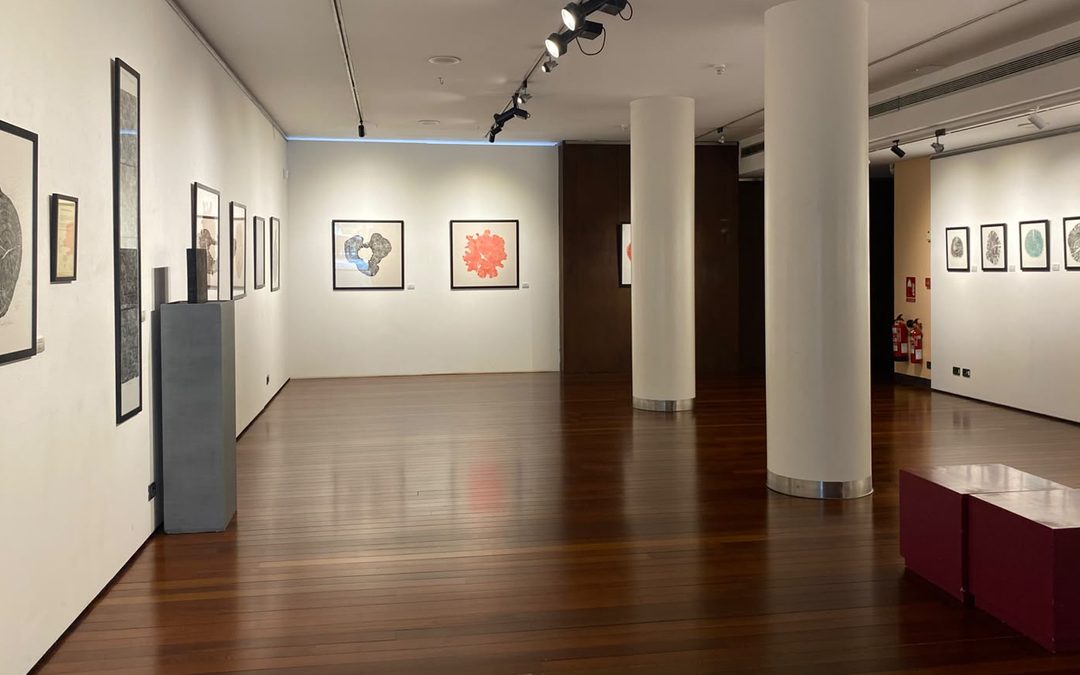 El Centro Fundación Caja Rioja Gran Vía acoge la exposición ‘Bosques de La Rioja. Memoria viva del territorio’, de Natali Wood