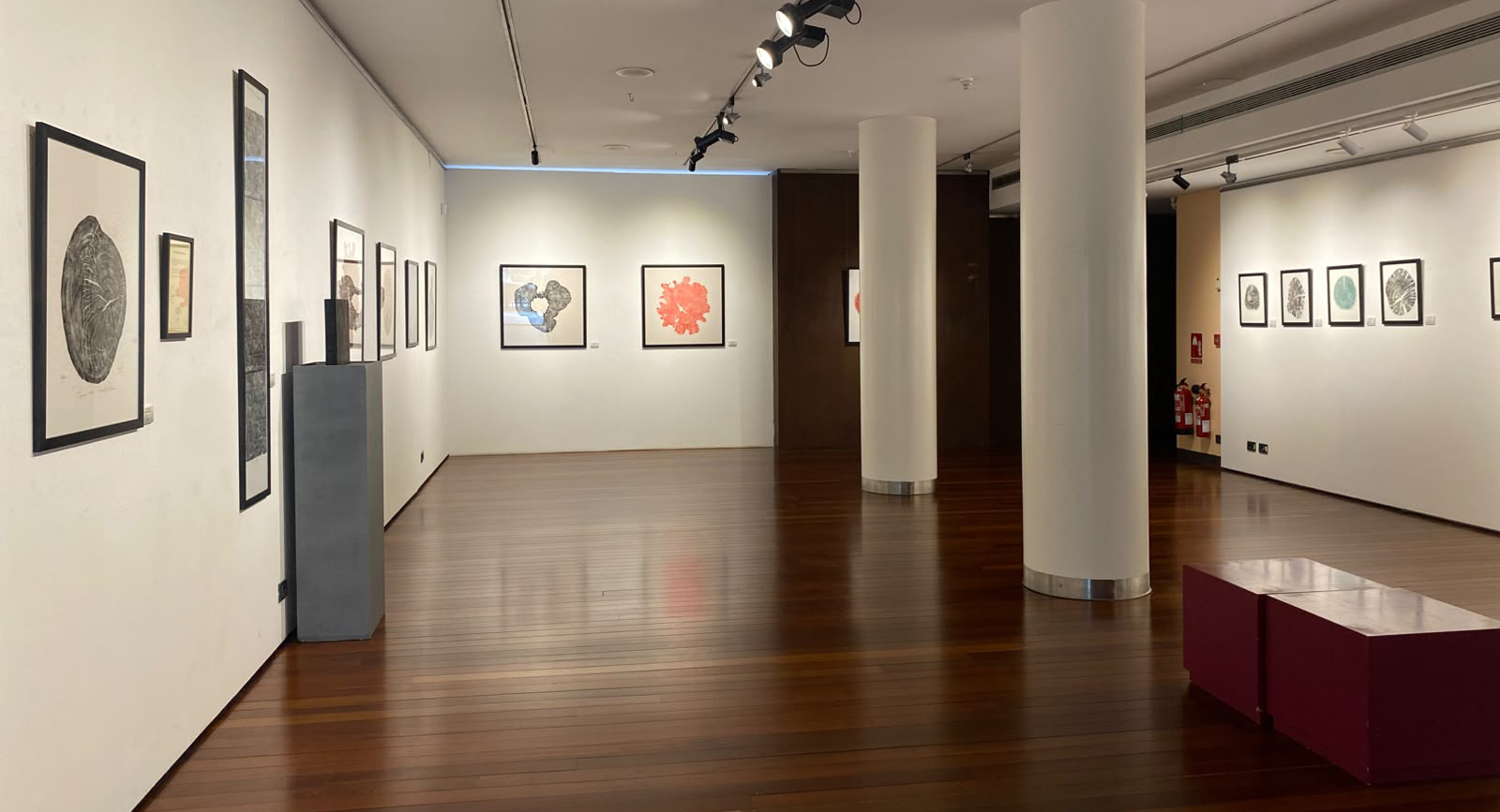 El Centro Fundación Caja Rioja Gran Vía acoge la exposición ‘Bosques de La Rioja. Memoria viva del territorio’, de Natali Wood